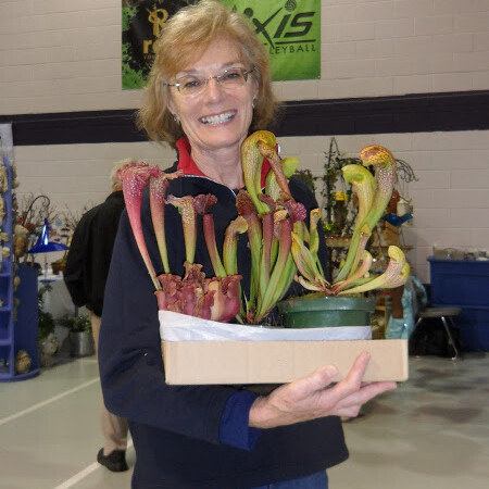A woman holding a box of plants in her hands.