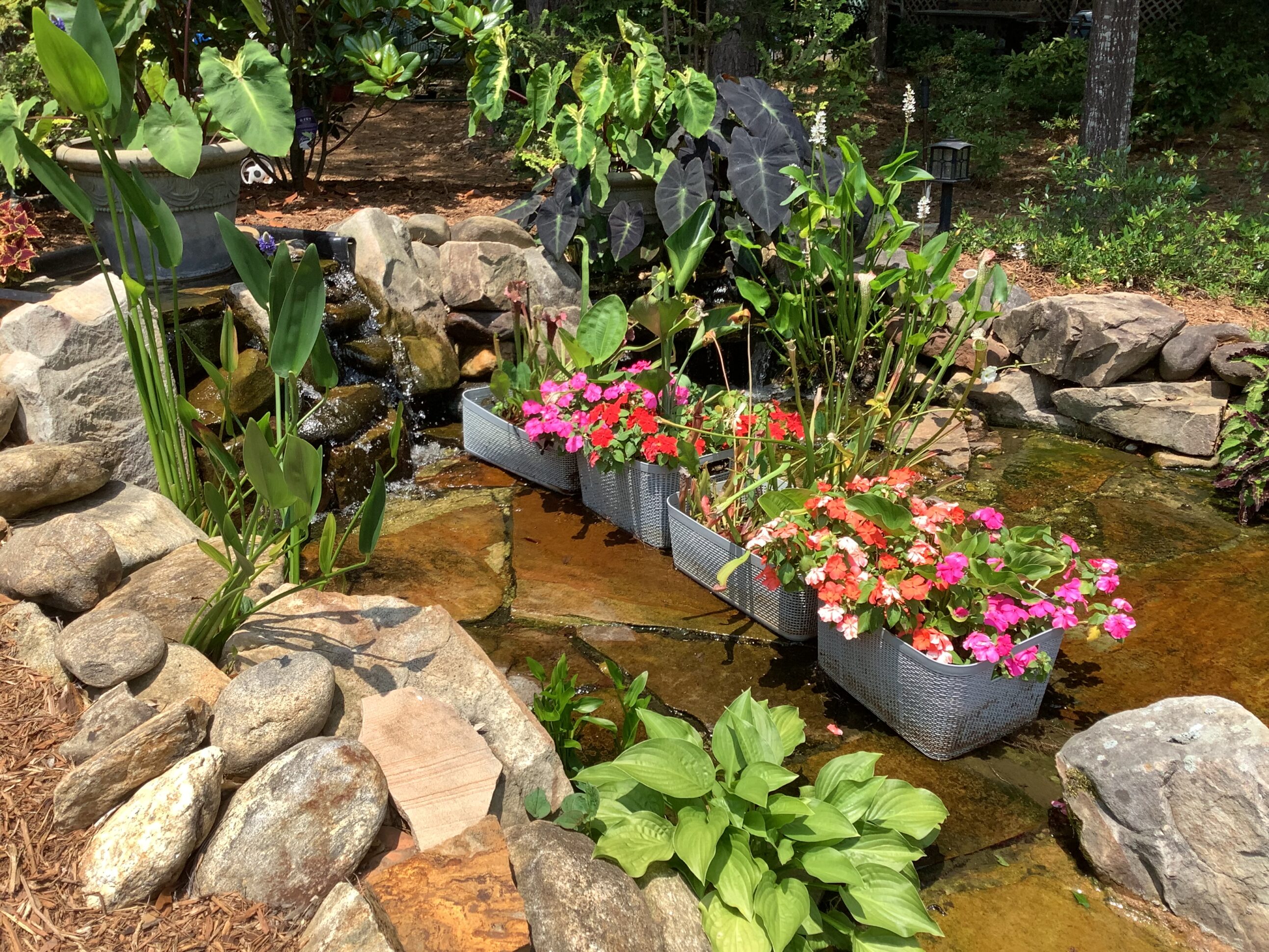 A garden with many plants and rocks in the water.