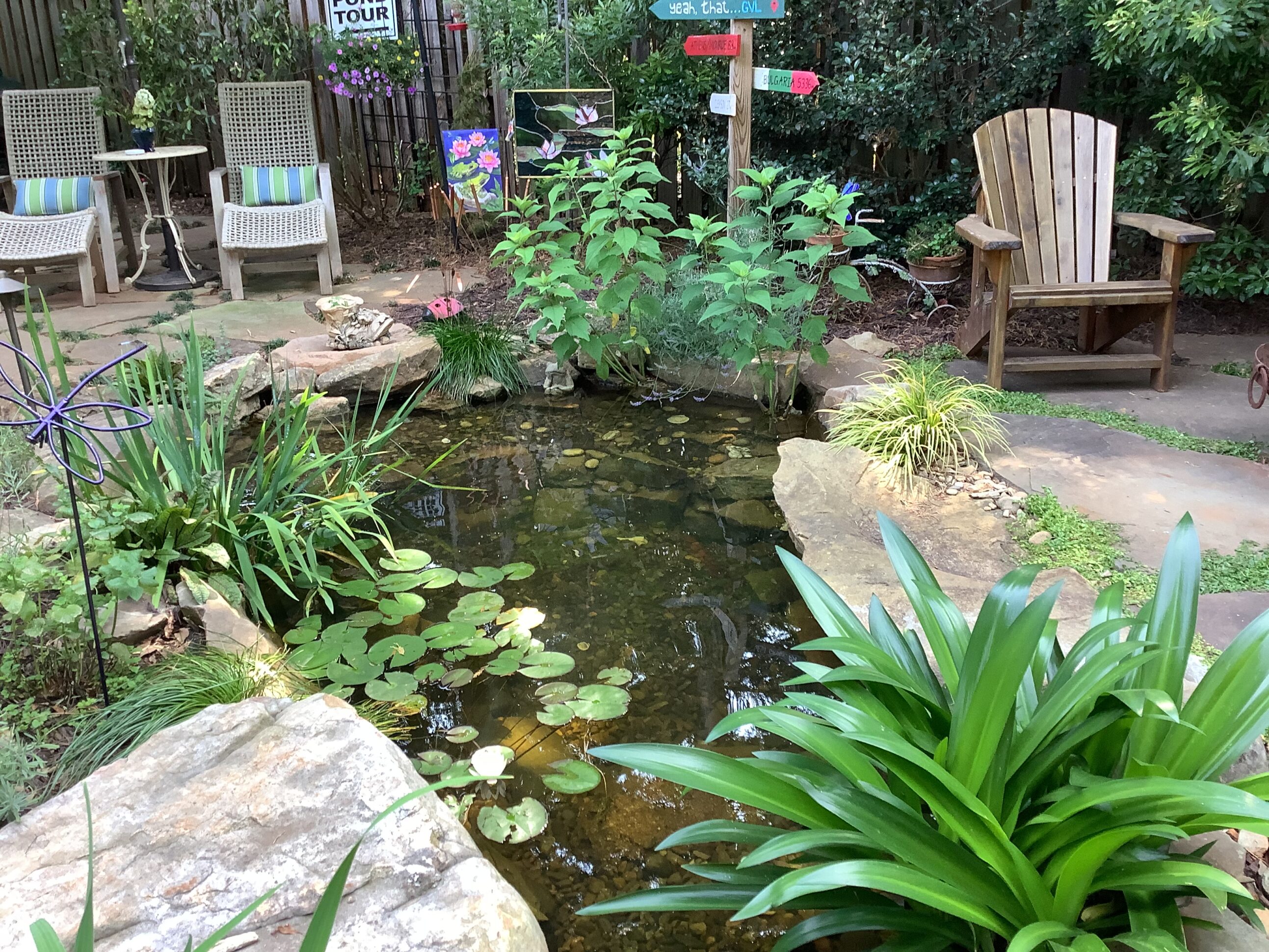 A garden with chairs and plants in the water.