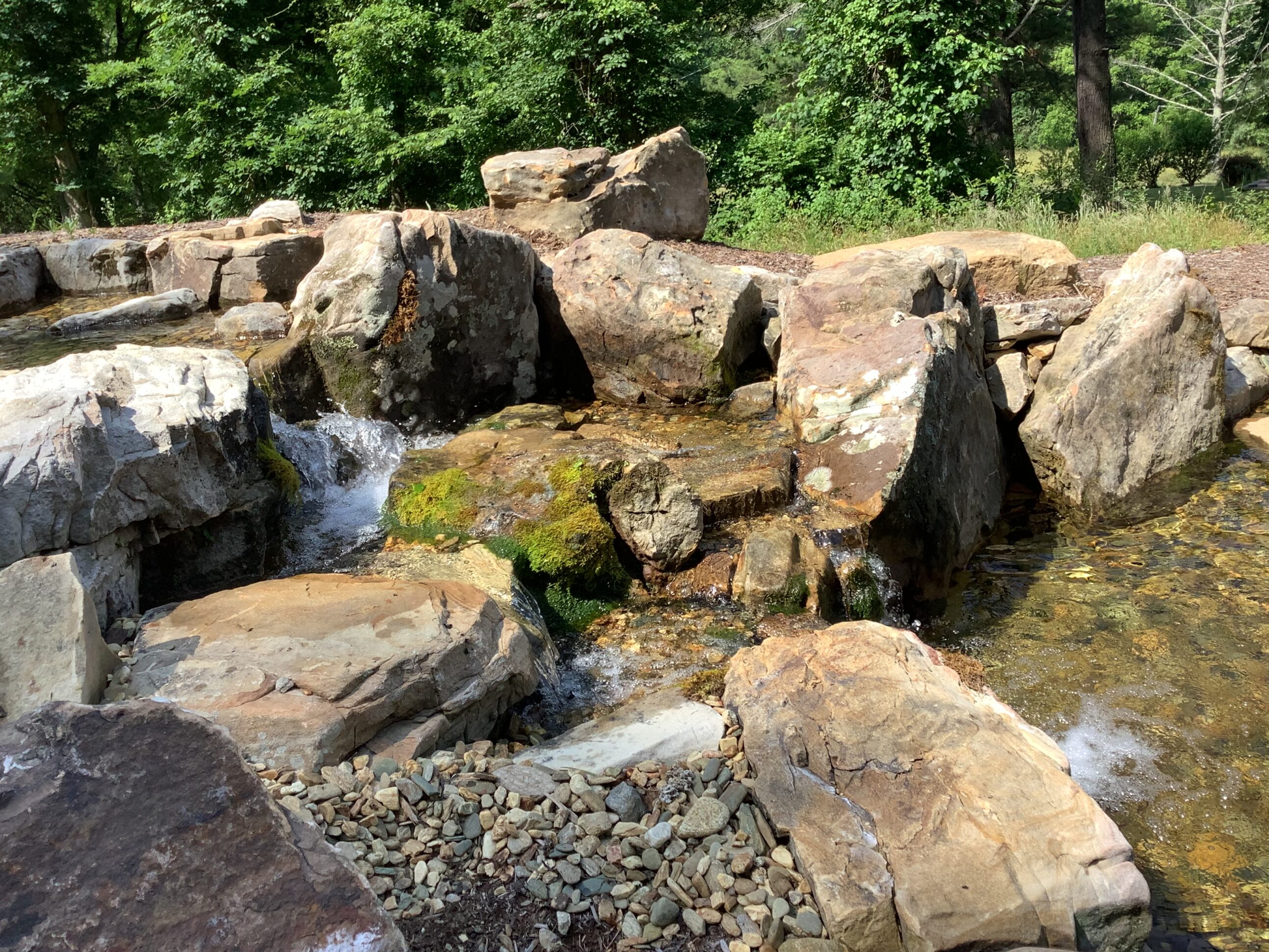 A stream of water flowing over rocks in the forest.