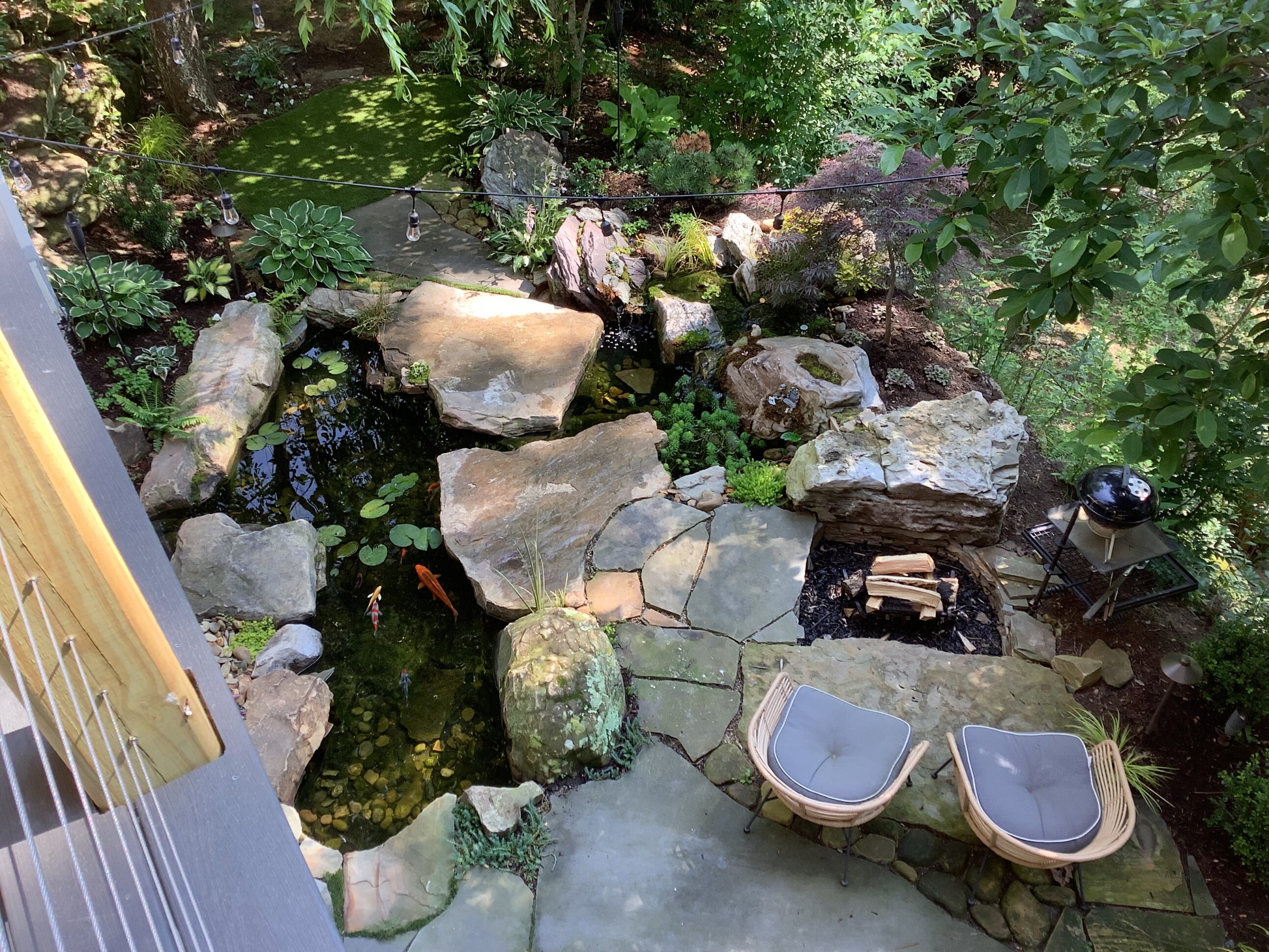 A garden with rocks and plants in the middle of it