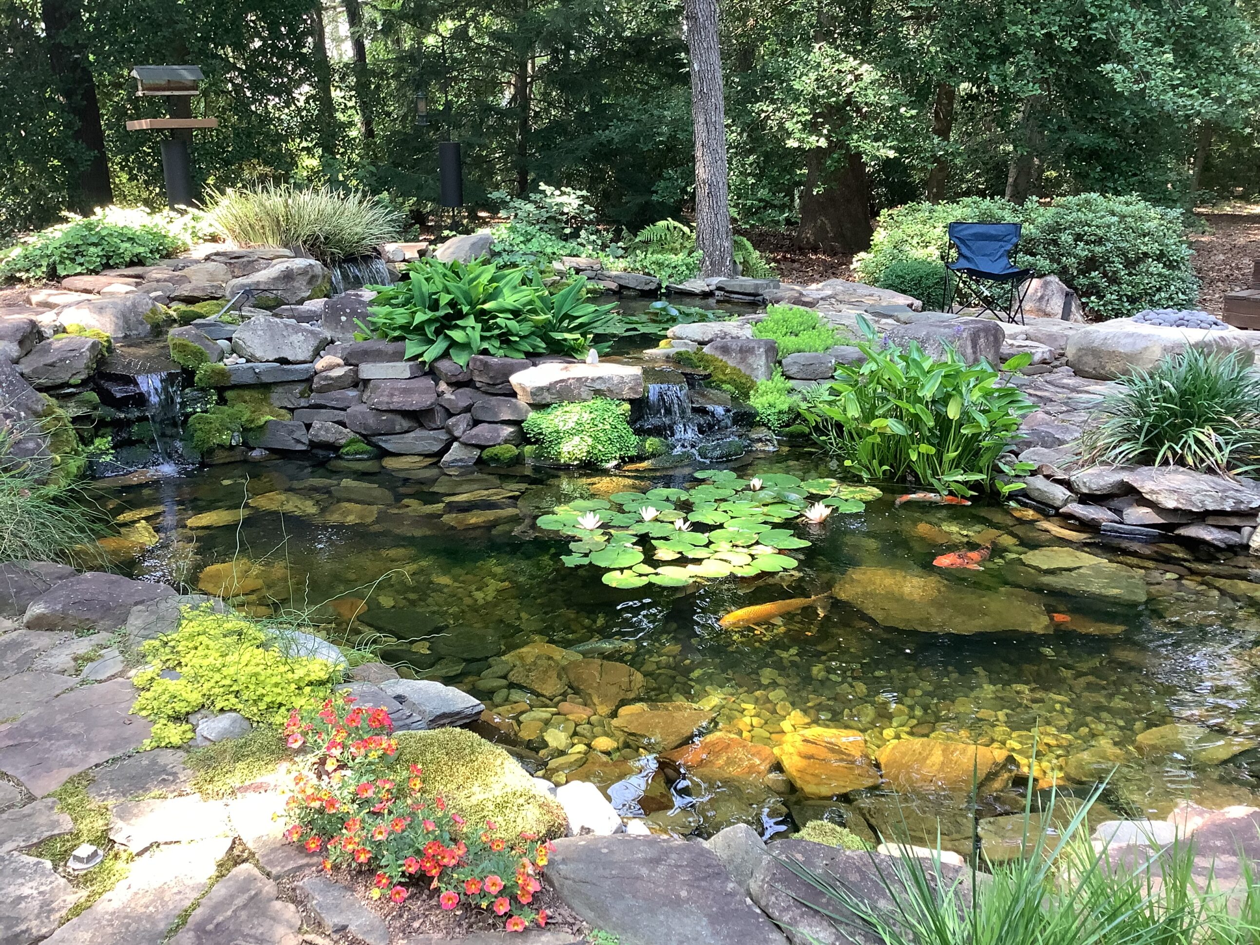 A pond with water lilies and rocks in the middle of it.